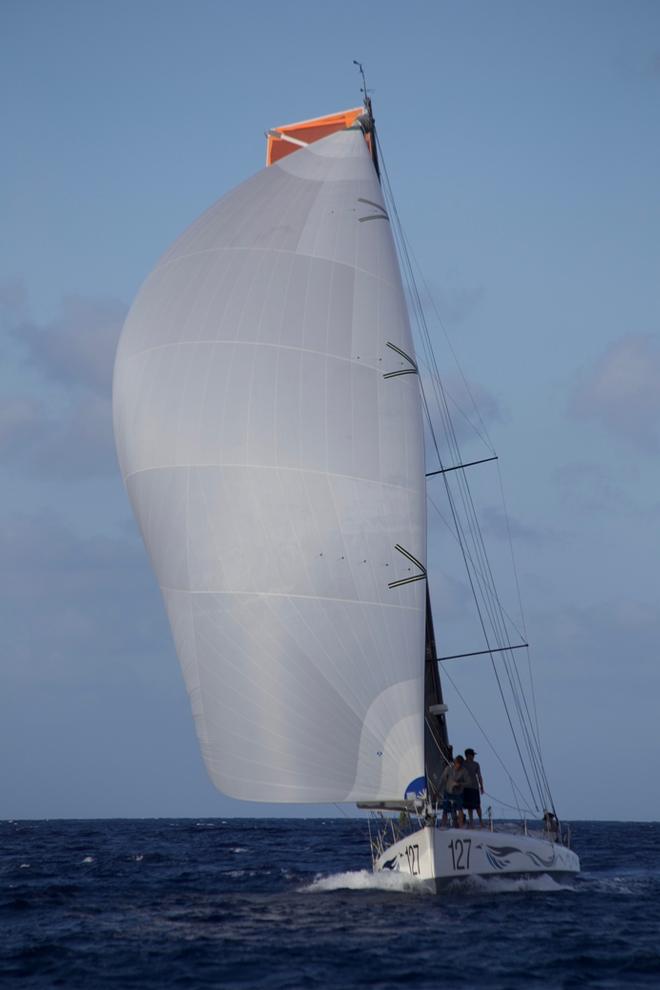 Amhas finish - 33rd Pineapple Cup – Montego Bay Race © Edward Downer / Pineapple Cup